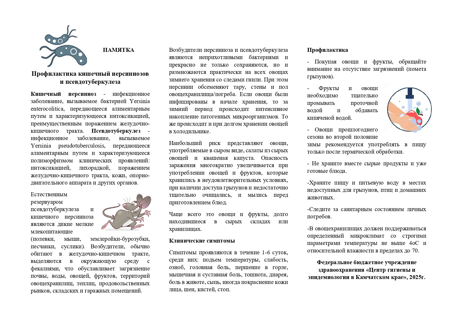 Профилактика кишечный иерсиниозов и псевдотуберкулеза.
